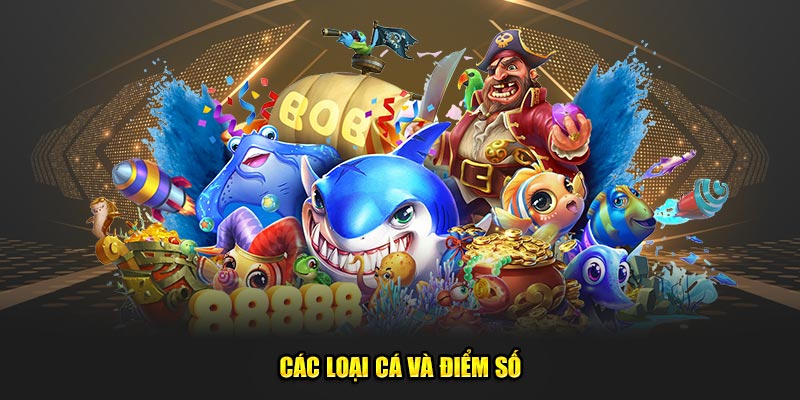 Cac-loai-ca-va-diem-so
